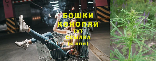прущие грибы Елизово