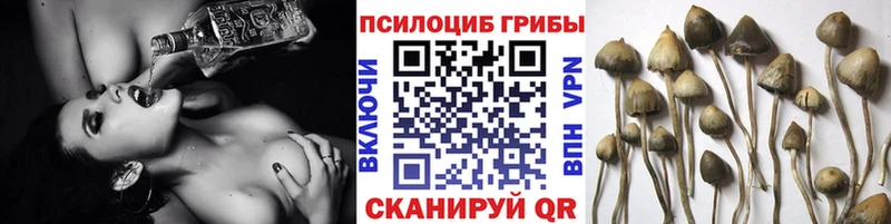наркотики  Новочебоксарск  Псилоцибиновые грибы ЛСД 